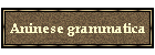 Aninese grammatica