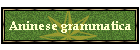 Aninese grammatica