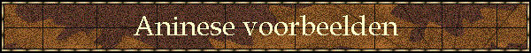 Aninese voorbeelden