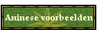 Aninese voorbeelden