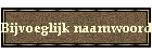 Bijvoeglijk naamwoord