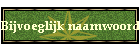 Bijvoeglijk naamwoord