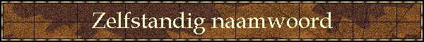Zelfstandig naamwoord