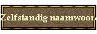 Zelfstandig naamwoord
