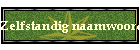 Zelfstandig naamwoord