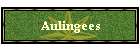 Aulingees