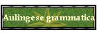 Aulingese grammatica