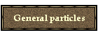 General particles