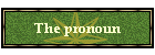 The pronoun